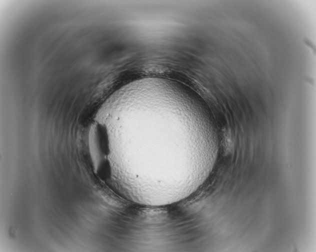 X0000093500619200710261139