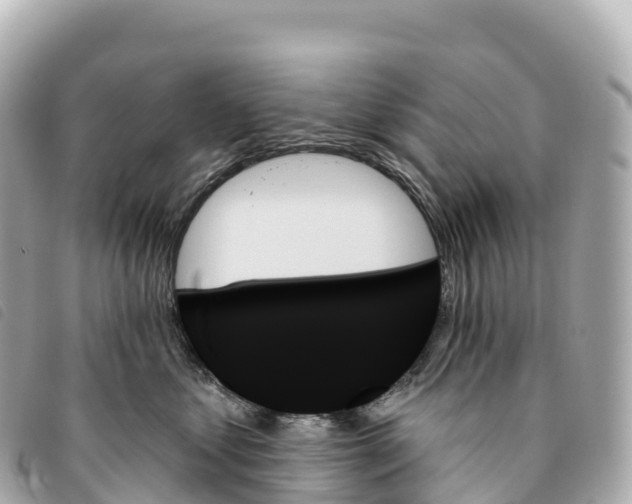 X0000093500621200710261139