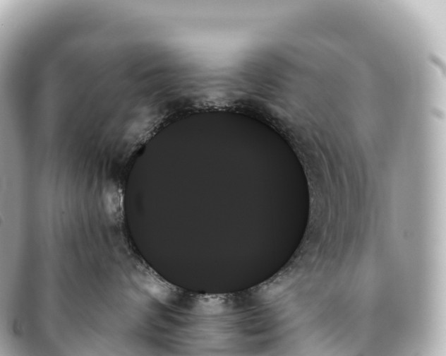 X0000093500624200710261139