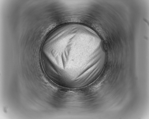 X0000093500625200710261138