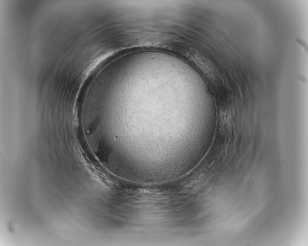 X0000093500628200710261138