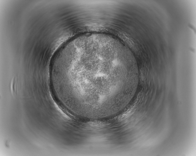 X0000093500630200710261138
