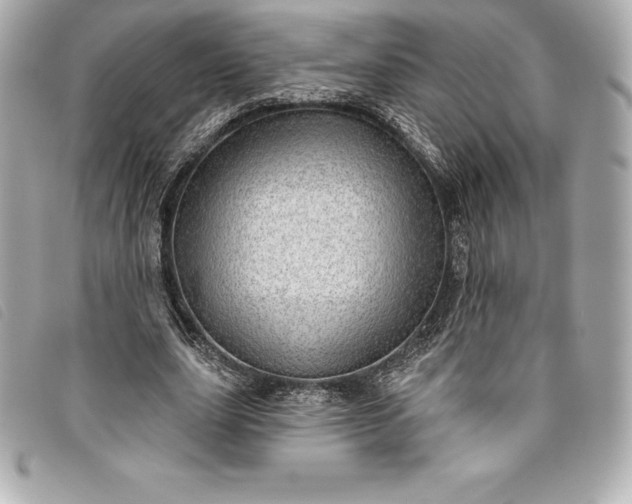 X0000093500631200710261138