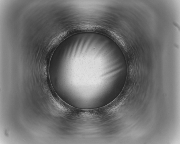 X0000093500633200710261138