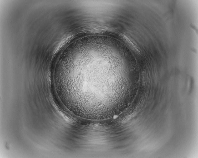 X0000093500634200710261138