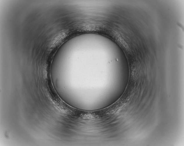 X0000093500635200710261138