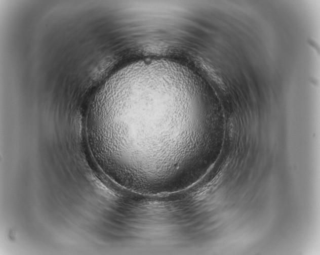 X0000093500637200710261138