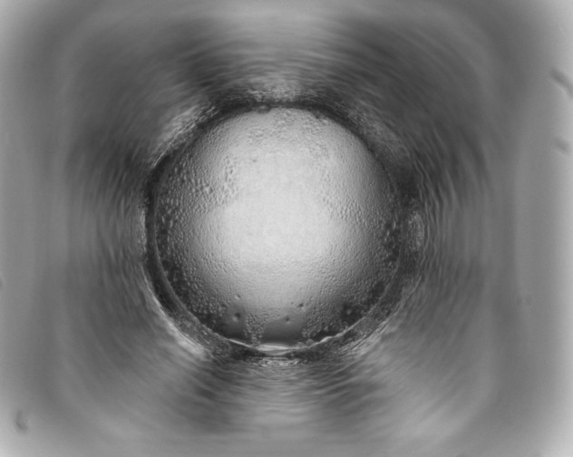 X0000093500638200710261138