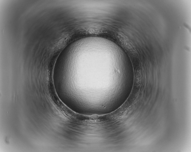 X0000093500639200710261138