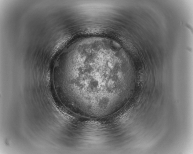 X0000093500640200710261138