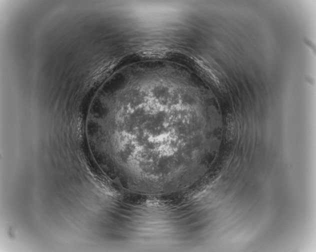 X0000093500641200710261138