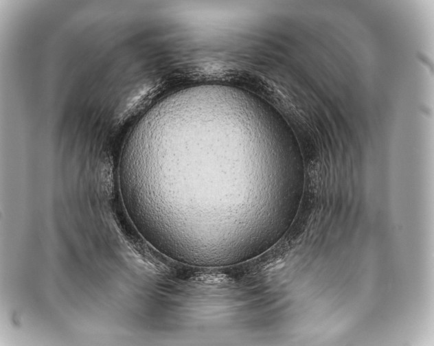 X0000093500642200710261138