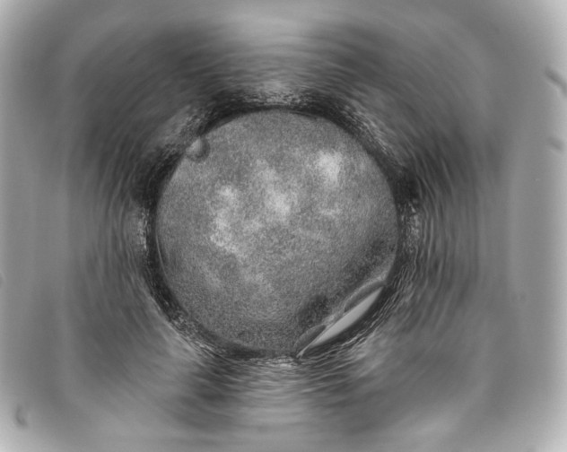 X0000093500643200710261138