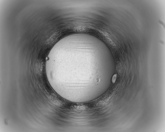 X0000093500645200710261138