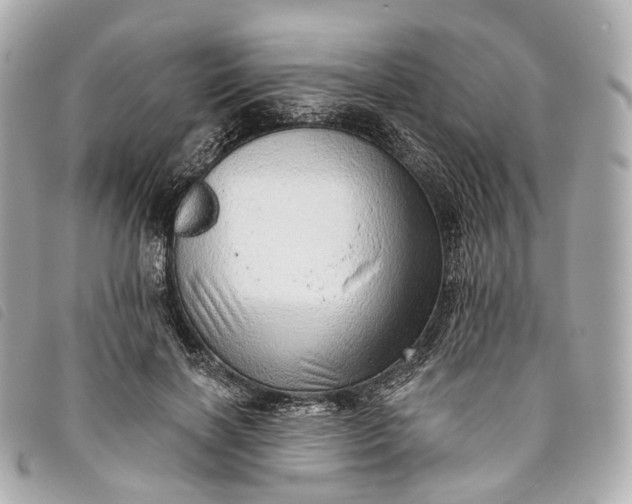 X0000093500646200710261138