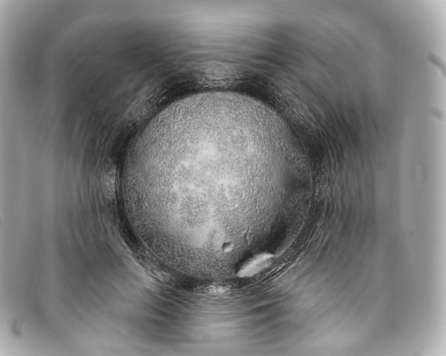 X0000093500647200710261138