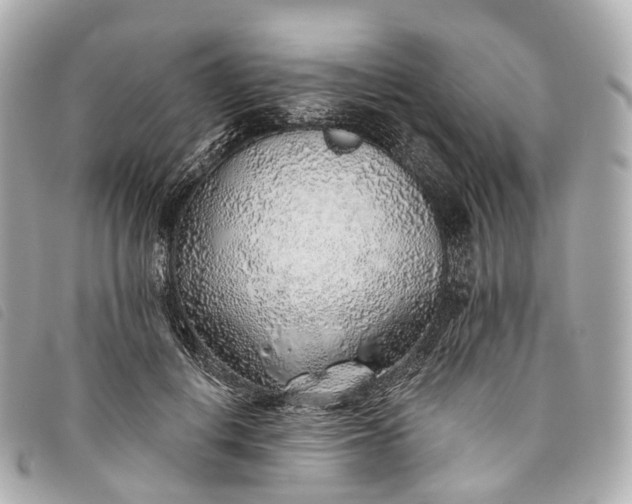 X0000093500648200710261138