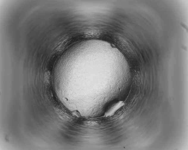 X0000093500649200710261139