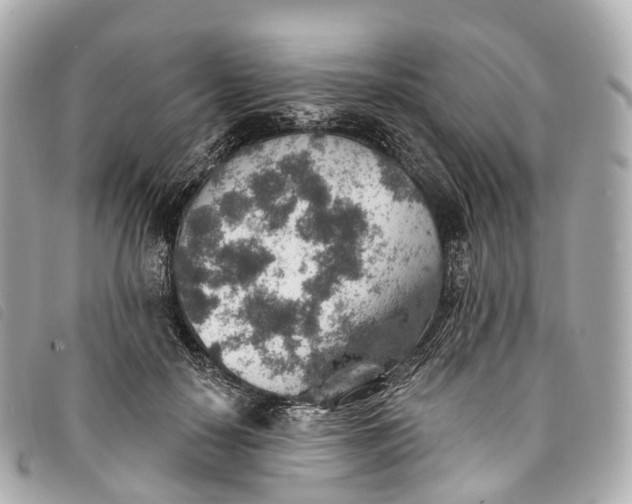 X0000093500650200710261139