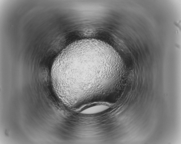 X0000093500651200710261139