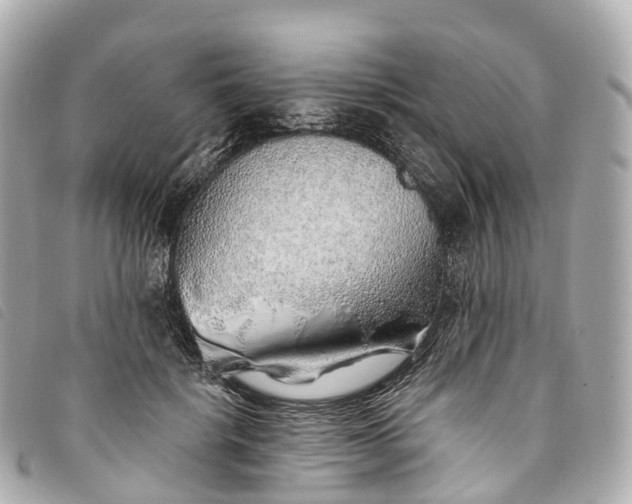 X0000093500652200710261139