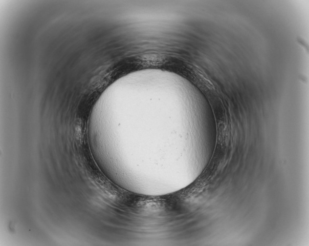 X0000093500655200710261139