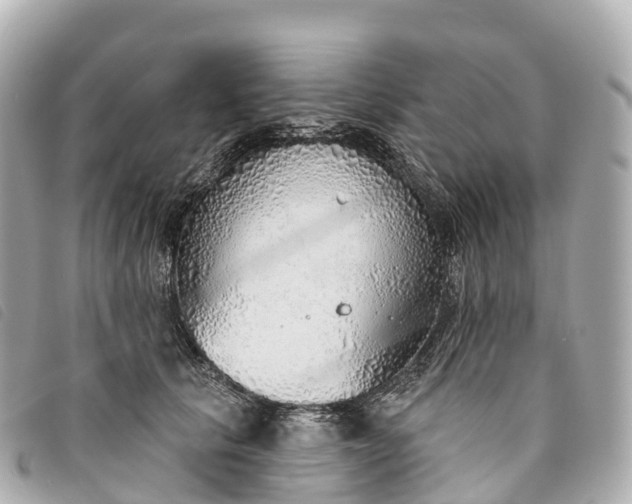 X0000093500657200710261139