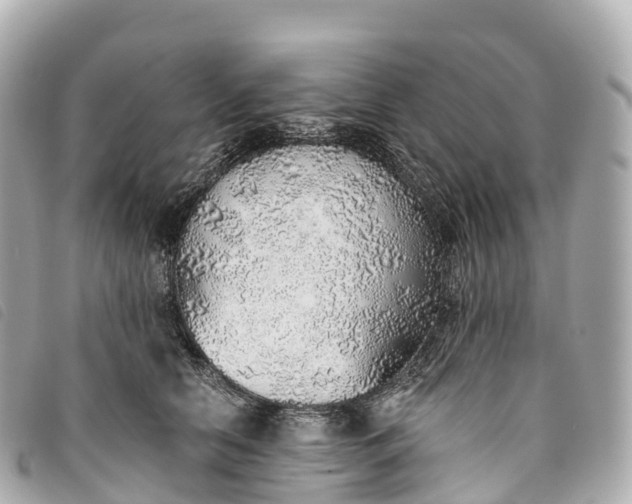 X0000093500658200710261139