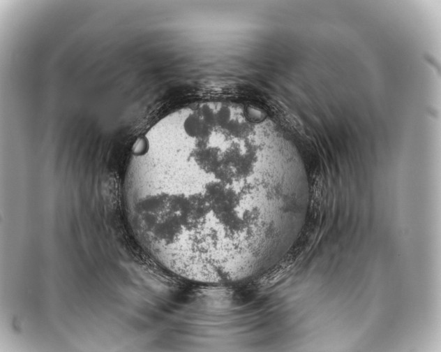 X0000093500659200710261139