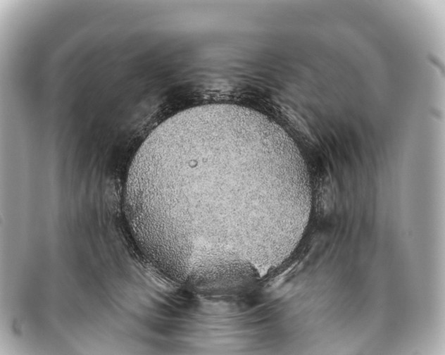 X0000093500661200710261139