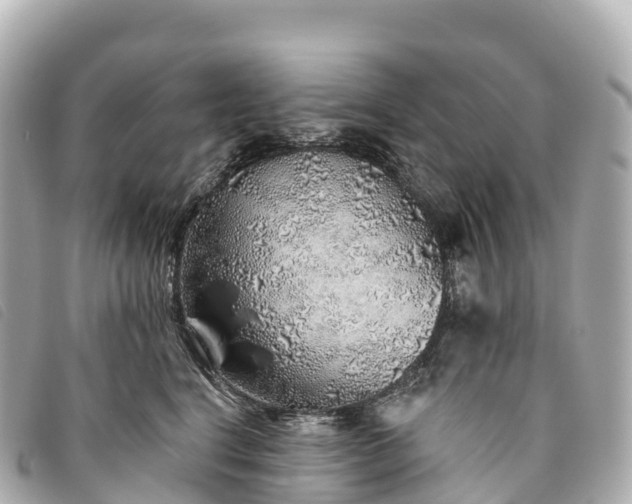 X0000093500664200710261139