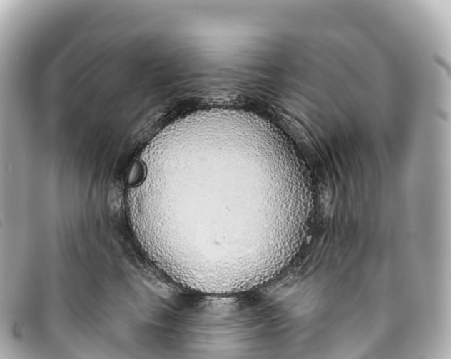 X0000093500665200710261139