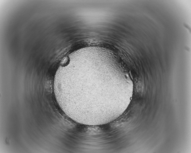 X0000093500666200710261139