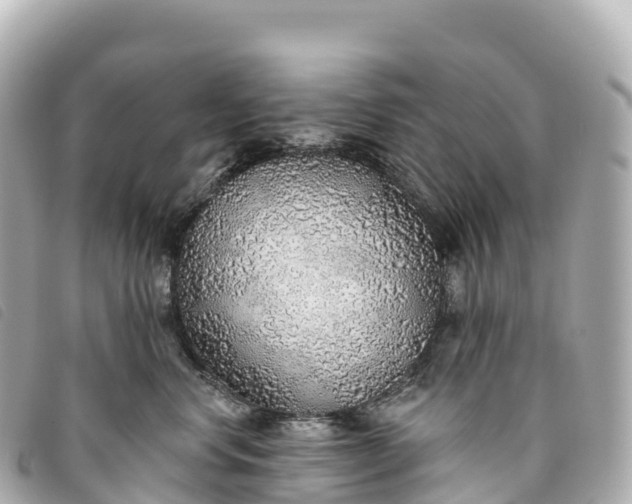X0000093500668200710261139