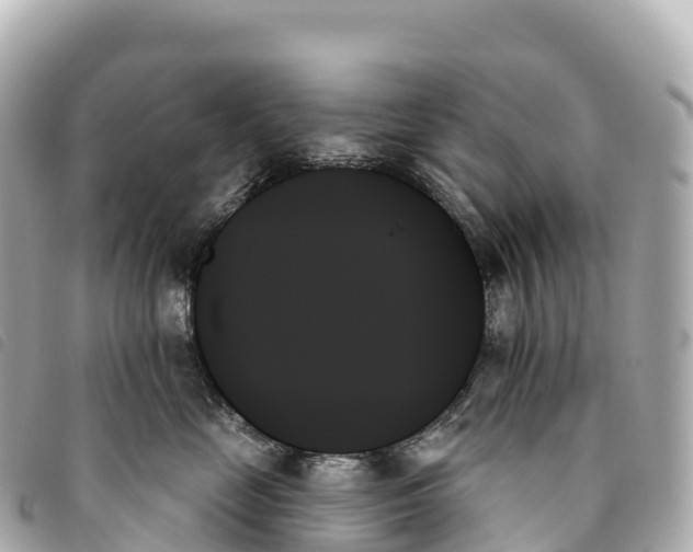 X0000093500669200710261139