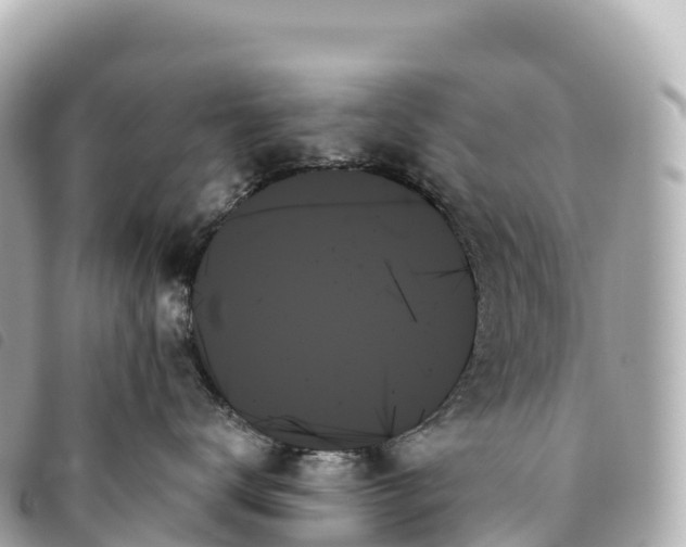 X0000093500672200710261139