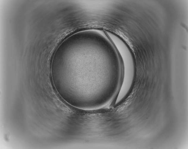 X0000093500673200710261138