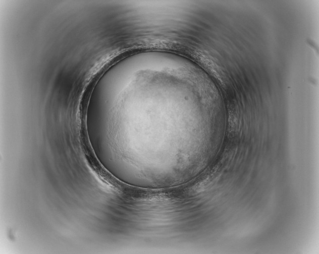 X0000093500674200710261138