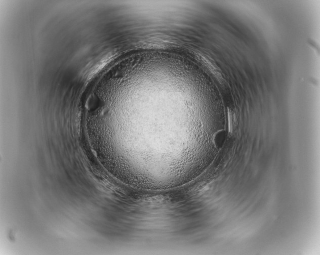 X0000093500675200710261138