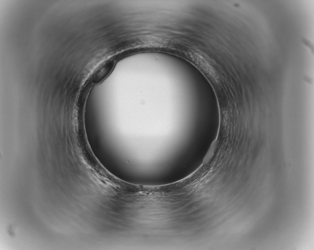 X0000093500676200710261138