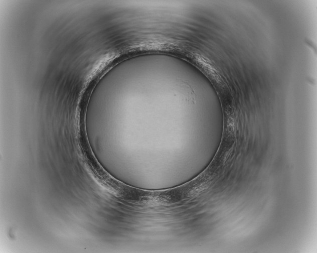 X0000093500678200710261138