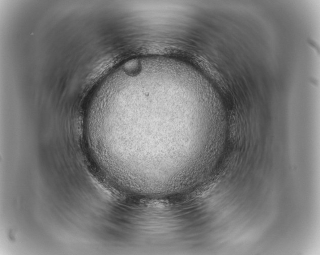 X0000093500683200710261138