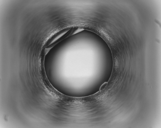 X0000093500684200710261138