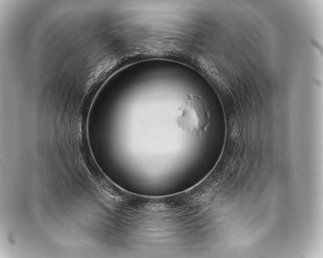 X0000093500685200710261138