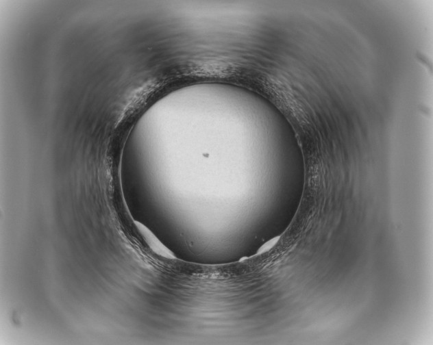 X0000093500688200710261138