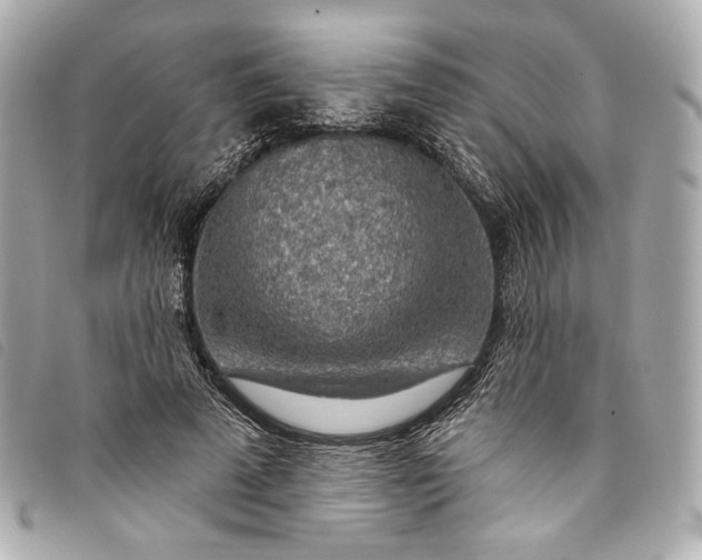 X0000093500689200710261138