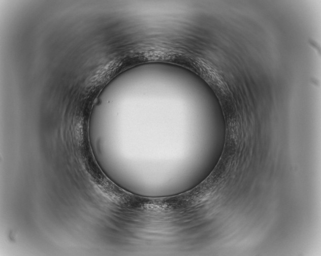 X0000093500690200710261138