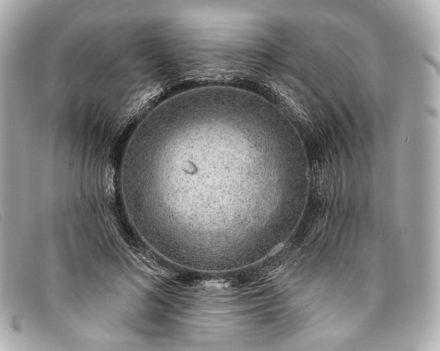X0000093500692200710261138