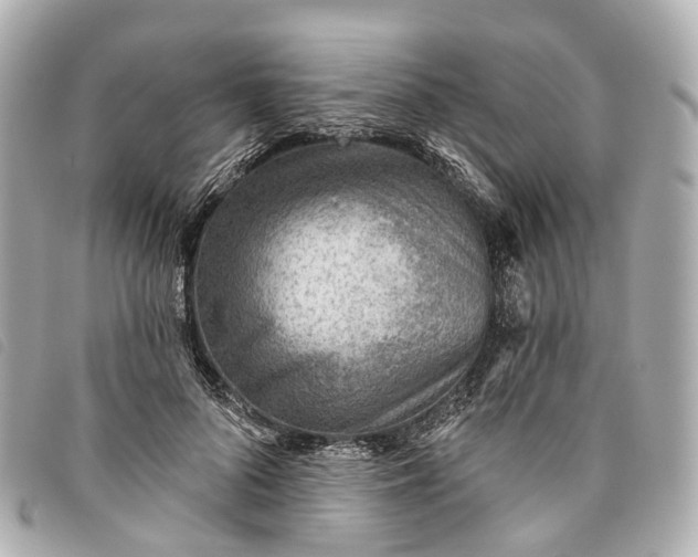 X0000093500696200710261138
