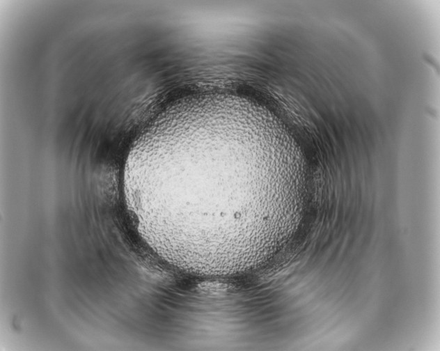 X0000093500699200710261138